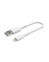 belkin Kabel PVC USB-A to Lightning 15cm White - nr 18