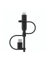 belkin Kabel/Adapter Universal Cable Lightning/Micro/USB-C - nr 21
