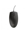 TRUST PRIMO KEYBOARD AND MOUSE SET US - nr 16