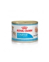 royal canin SHN Starter Mousse  195g - nr 2
