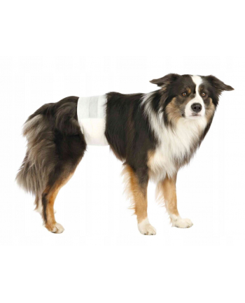 TRIXIE Pieluchy dla psów M–L 46–60 cm 12 szt/opak 2 nr 1