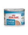 royal canin SHN Starter Mousse  195g - nr 1
