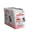 ROYAL CANIN Kitten Instinctive in Gravy - pakiet 12 - nr 5