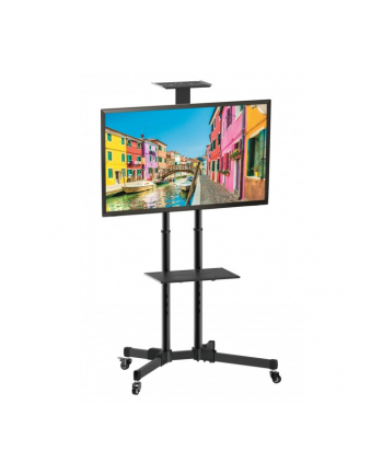 TECHLY Stojak Mobilny TV LED/LCD 37-70inch 50kg 2 Półki Regulowany