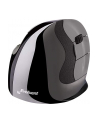 Evoluent VerticalMouse D, mouse (Kolor: CZARNY / silver, Small, RH) - nr 1