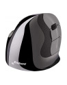 Evoluent VerticalMouse D, mouse (Kolor: CZARNY / silver, medium, RH) - nr 16