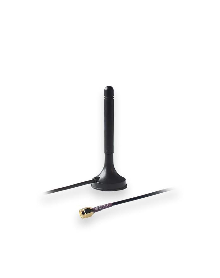 teltonika networks TELTONIKA mobile magnetic sma antenna główny