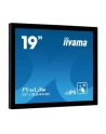 Monitor IIYAMA 19' TF1934MC-B7X IPS,POJ.10pkt.HDMI,DP,5:4,IP65, - nr 24