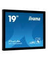 Monitor IIYAMA 19' TF1934MC-B7X IPS,POJ.10pkt.HDMI,DP,5:4,IP65, - nr 27