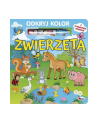 morex Książka Odkryj kolor Zwierzęta - nr 2