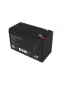 green cell Akumulator AGM VRLA 12V 8Ah - nr 29