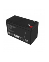 green cell Akumulator AGM VRLA 12V 8Ah - nr 15