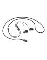 samsung Słuchawki Type C Earphone Black EO-IC100BBEG(wersja europejska) - nr 18
