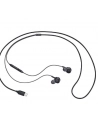samsung Słuchawki Type C Earphone Black EO-IC100BBEG(wersja europejska) - nr 42