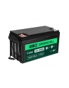 green cell Akumulator AGM VRLA 12V 65Ah - nr 9