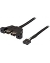 ASROCK D-ESKMINI 2XUSB2.0 CABLE - nr 1
