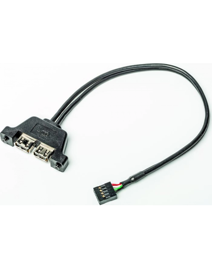 ASROCK D-ESKMINI 2XUSB2.0 CABLE główny