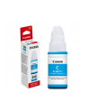 CANON GI-53 C (wersja europejska)R Cyan Ink Bottle - nr 11