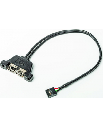 ASROCK D-ESKMINI 2XUSB2.0 CABLE