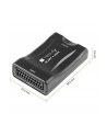 TECHLY Konwerter AV Euro SCART do HDMI 720p/1080p - nr 5