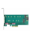 DeLOCK PCI Express x4 card to 1 x M.2 key B + 1 x NVMe M.2 key M, controller - nr 3