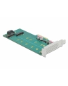 DeLOCK PCI Express x4 card to 1 x M.2 key B + 1 x NVMe M.2 key M, controller - nr 6