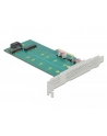 DeLOCK PCI Express x4 card to 1 x M.2 key B + 1 x NVMe M.2 key M, controller - nr 9