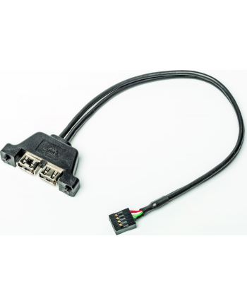 Asrock D-ESKMINI 2XUSB2.0 CABLE