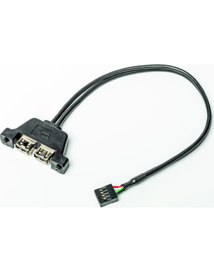 Asrock D-ESKMINI 2XUSB2.0 CABLE główny