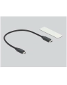 DeLOCK Ext.Ge. M.2 PCIe with SupS USB-C bu - USB 20 Gbps - nr 14
