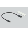 DeLOCK Ext.Ge. M.2 PCIe with SupS USB-C bu - USB 20 Gbps - nr 2