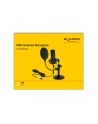 DeLOCK professional USB condenser microphone - nr 22