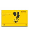 DeLOCK USB condenser microphone set - nr 14