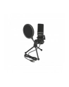 DeLOCK USB condenser microphone set - nr 17