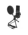DeLOCK USB condenser microphone set - nr 22