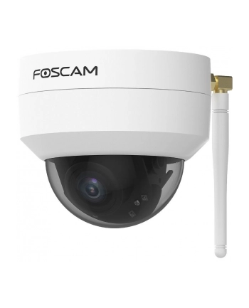 Foscam D4Z, surveillance camera nr 1