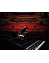 LEGO Ideas Concert Grand - 21323 - nr 2