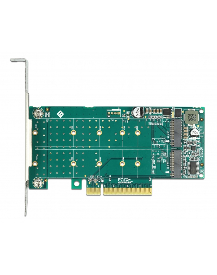 DeLOCK PCI Express x8 card to 2 x internal NVMe M.2 Key M - bifurcation, controller główny