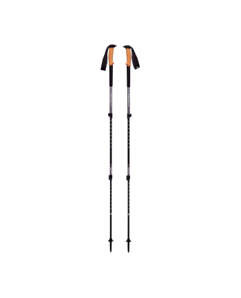 Black Diamond TRAIL CORK TREKKING POLES grey - BD1125261007ALL1