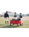 Coleman handcart 2000035214 - nr 1