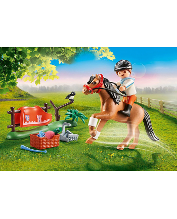 Playmobil collecting pony '' Connemara '' - 70516 nr 1