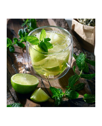 Szklanki do herbaty ZWILLING Sorrento 2x240 ml 39500-077-0 nr 1