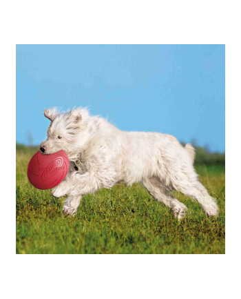 TRIXIE Frisbee 18cm 33501