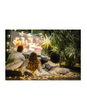 VIEWSONIC PROJEKTOR DO KINA DOMOWEGO PX701-4K - nr 27