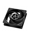 arctic cooling WENTYLATOR ARCTIC P8 Silent (Black/Black) 80mm - nr 5