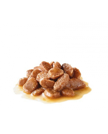 ROYAL CANIN Urinary Care in Gravy 12x85g