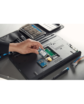 KINGSTON DYSK SSD SKC600MS/256G KC600 SATA3