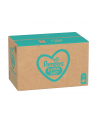 PAMPERS Pieluchomajtki MTH Rozm 6  15+kg  132szt - nr 8