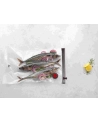 Zestaw toreb próżniowych ZWILLING Fresh ' Save - 49 cm 36800-305-0 - nr 8