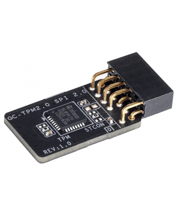 Gigabyte TPM Modul SPI - GC-TPM2.0 SPI 2.0 (GC-TPM2.0 SPI 2.0)